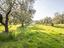 Immagine 15