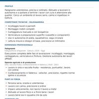 operaio specializzato 