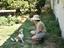 Immagine 5