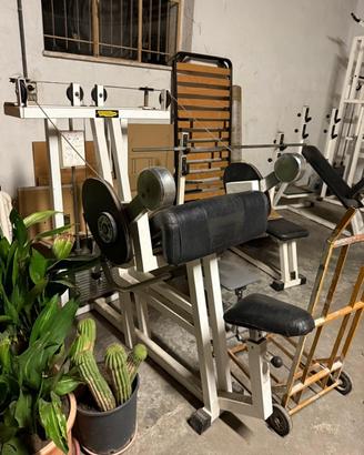 Curl Machine Technogym