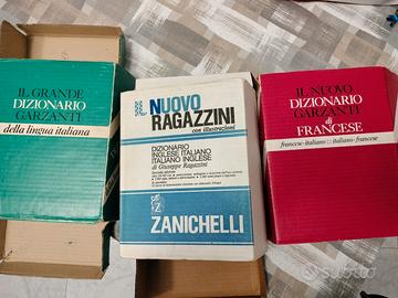 tre dizionari grossi 