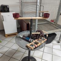 gabbia per pappagalli 