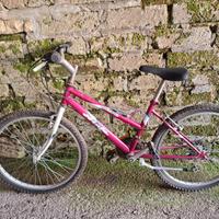 bicicletta mountain bike ruote 24