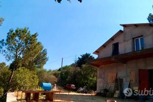 Rustico con terreno agricolo 6200mq