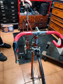 wilier triestina 