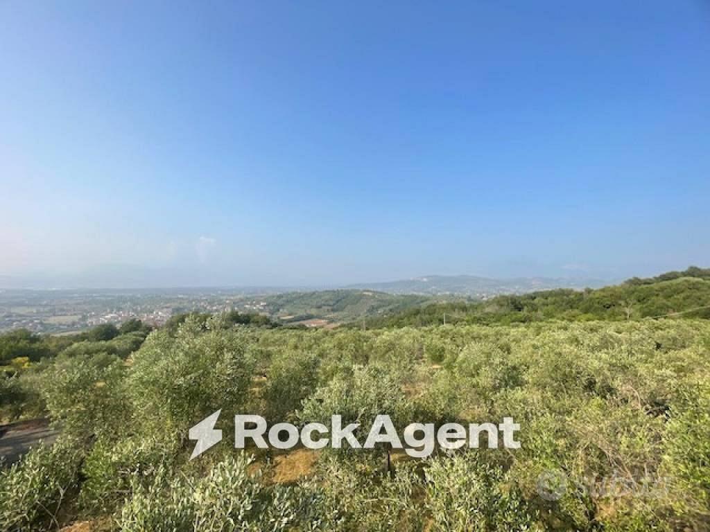 Terreno di 15000 m² a Albanella - Vista 2