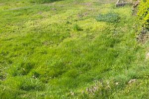 Vendita terreno edificabile