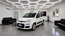 fiat-panda-1-0-firefly-s-s-hybrid-easy
