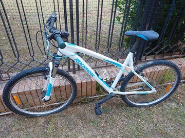 Bicicletta da Ragazzino 