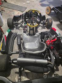 KART KGM KZ CON MOTORE ROTAX MAX  SENIOR 
