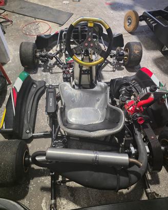 KART KGM KZ CON MOTORE ROTAX MAX  SENIOR 