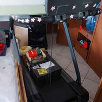 TAPIRULAN ATALA GINNY