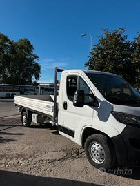 camiom peugeot boxer