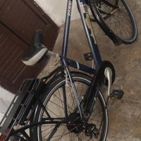 bici elettrica 