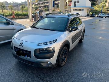 C4 cactus