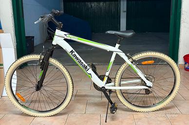 Mountain bike Kawasaki