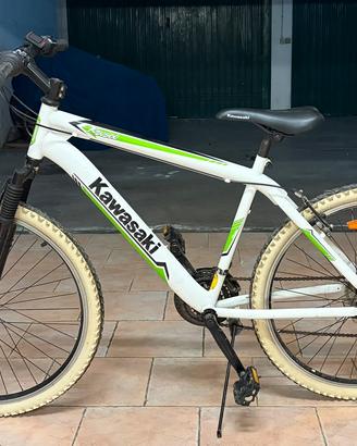 Mountain bike Kawasaki