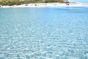 Appartamenti vicino Costa Rei Villasimius 4/5 pers