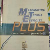 Matematica teor. eserc. Geometria B, 9788880428466