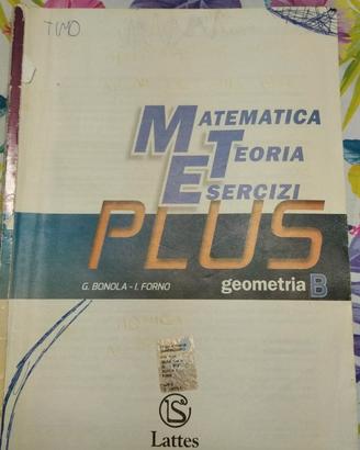 Matematica teor. eserc. Geometria B, 9788880428466
