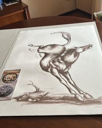 Litografia Mario Pachioli, in confezione originale