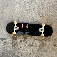 Skate globe