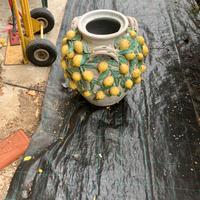 Vaso da fiori in Ceramica anni ‘70