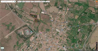 Terreno agricolo piantumato ad eucalipti