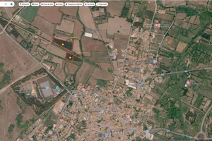 Terreno agricolo piantumato ad eucalipti