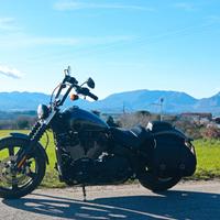 Harley Davidson Street bob