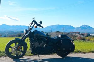 Harley Davidson Street bob