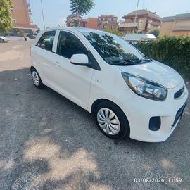 Kia Picanto 1.0 12V EcoGPL 5 porte Active Collecti