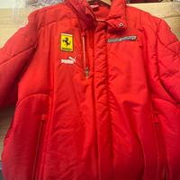 Giacca Ferrari