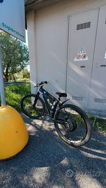 c100 ebike