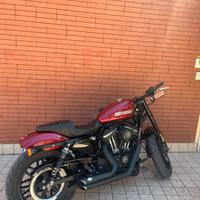 Harley Davidson Roadster 1200