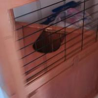 gabbia per coniglietti o altri animali