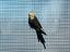 Immagine 4