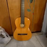 Chitarra professionale con custodia, nuovissima