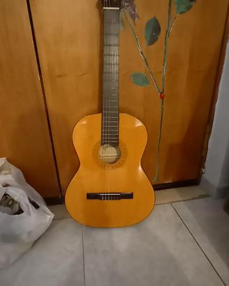 Chitarra professionale con custodia, nuovissima