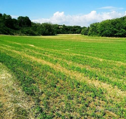 Terreno agric. a Castelfranco di Sotto