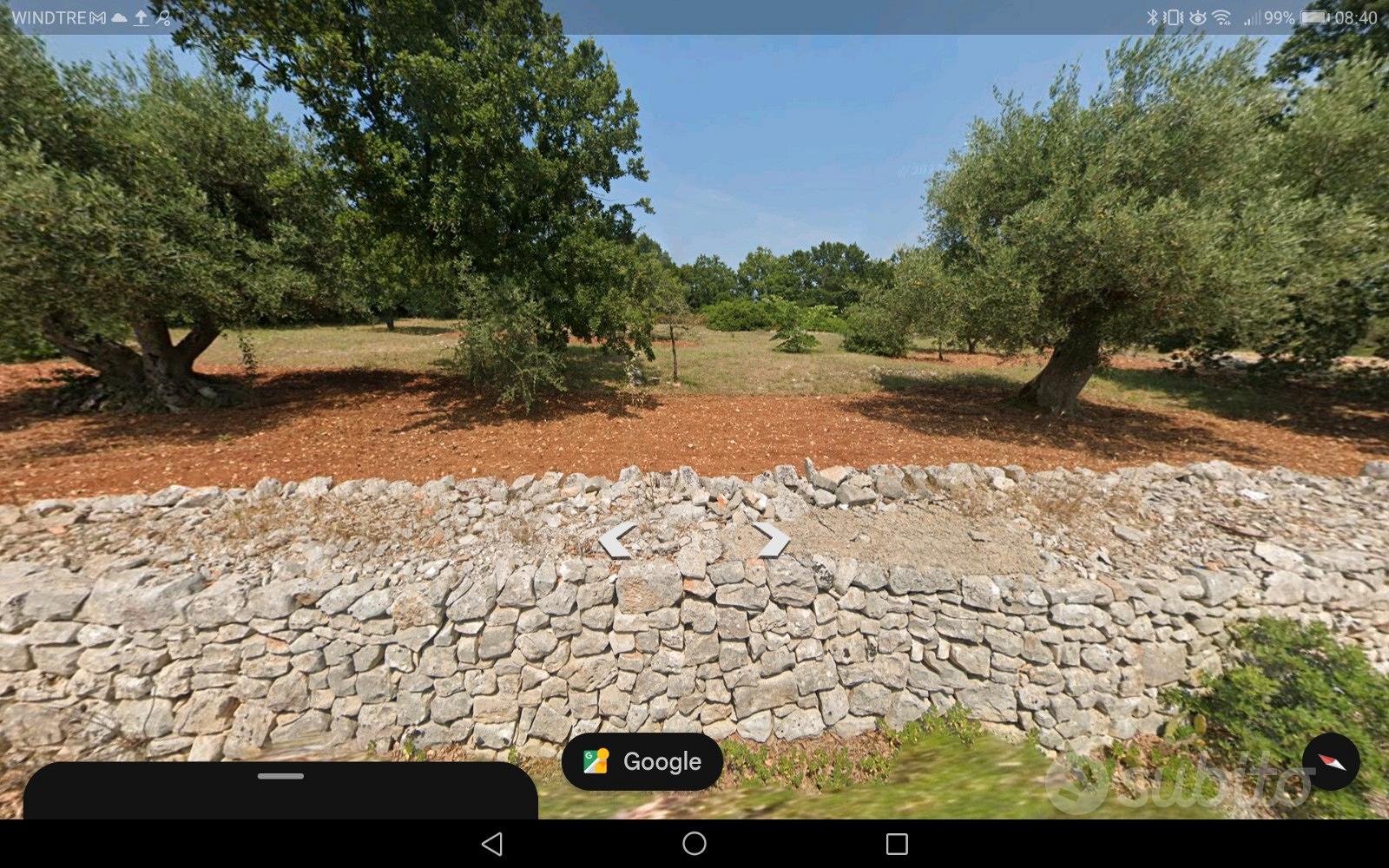 Terreno agricolo con ulivi ostuni - Altro