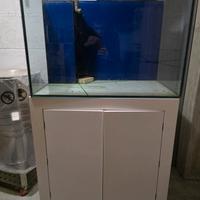 Acquario 240Lt