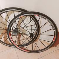fulcrum racing 1