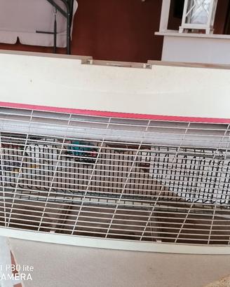 zanzariera elettrica professionale