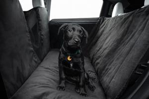 Rivestimento per animali domestici per Model S/3/Y