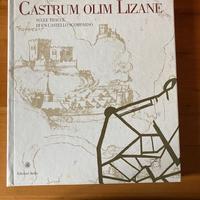 Castrum olim Lizane (castello di Lizzana (TN))