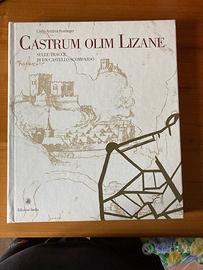 Castrum olim Lizane (castello di Lizzana (TN))