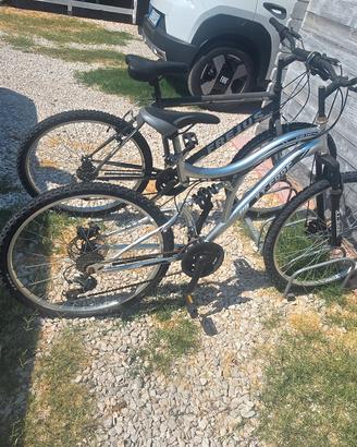  2  bici mountain bike 
