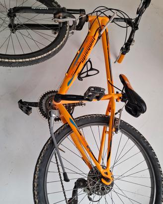 bici Lombardo  24 pollici