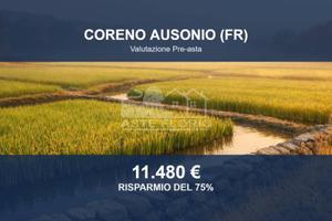 Immobile in asta di 155507 m² a Coreno Ausonio